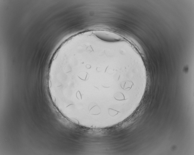 X0000116831000201001291639