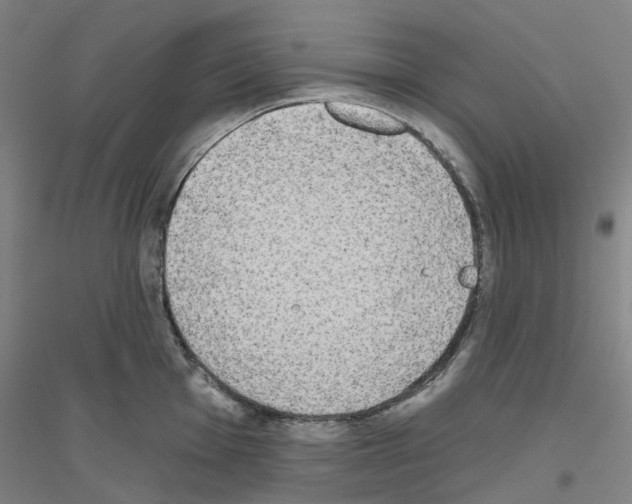 X0000116831001201001291639