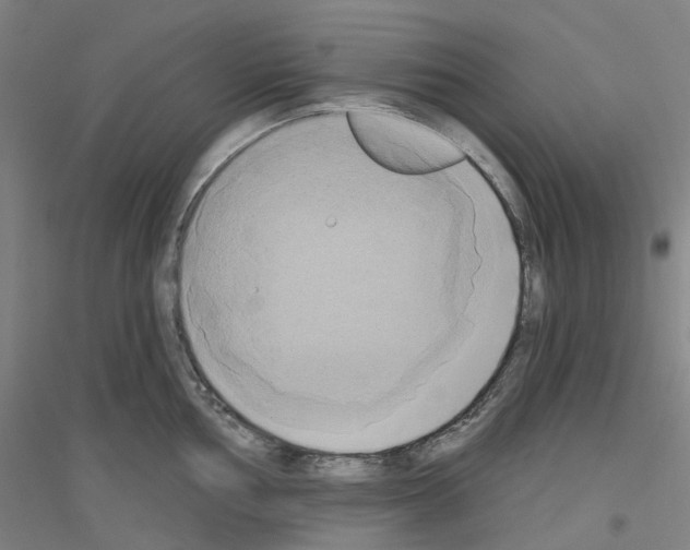 X0000116831002201001291639