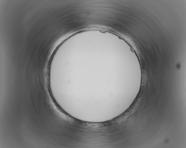 X0000116831003201001291639