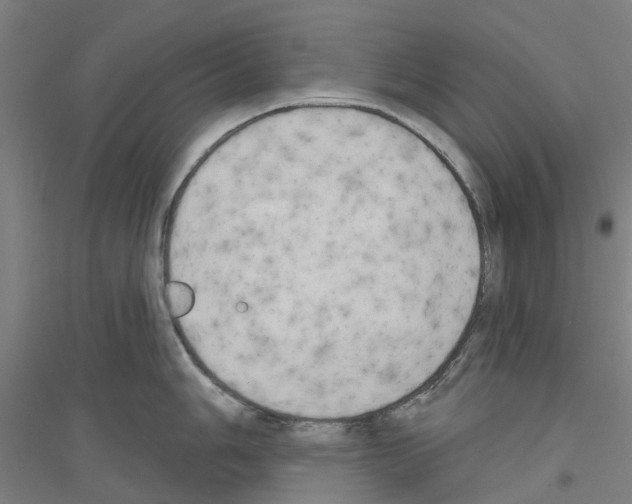 X0000116831006201001291639