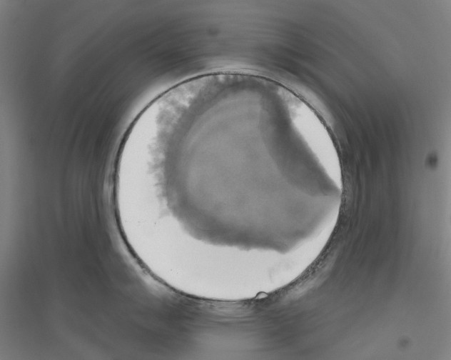 X0000116831007201001291639