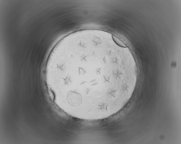 X0000116831008201001291639