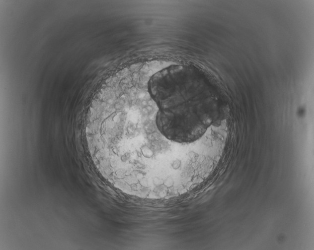 X0000116831010201001291638