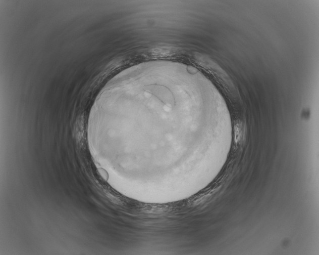 X0000116831011201001291638