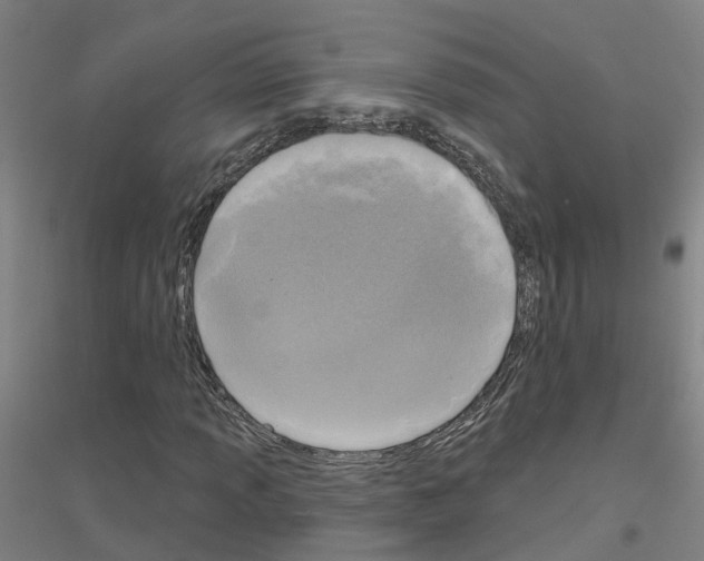 X0000116831013201001291638