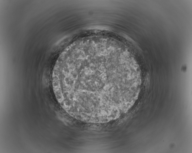 X0000116831014201001291638