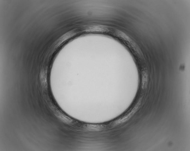 X0000116831017201001291638