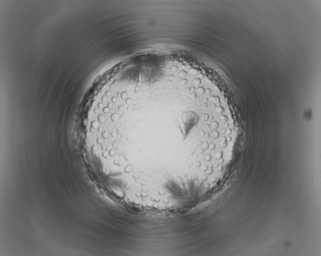 X0000116831018201001291638