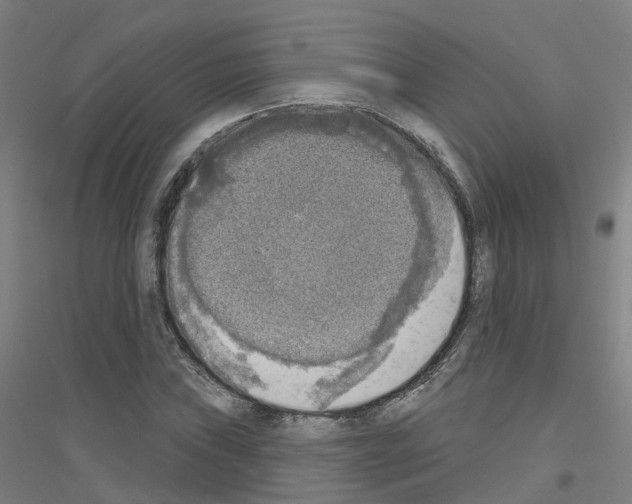 X0000116831019201001291638