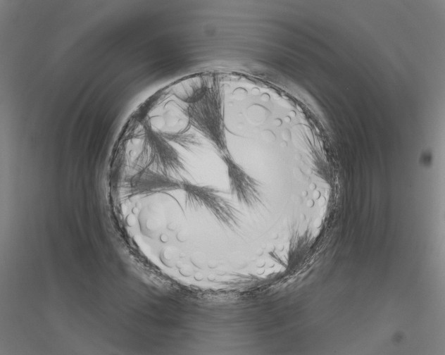 X0000116831020201001291638