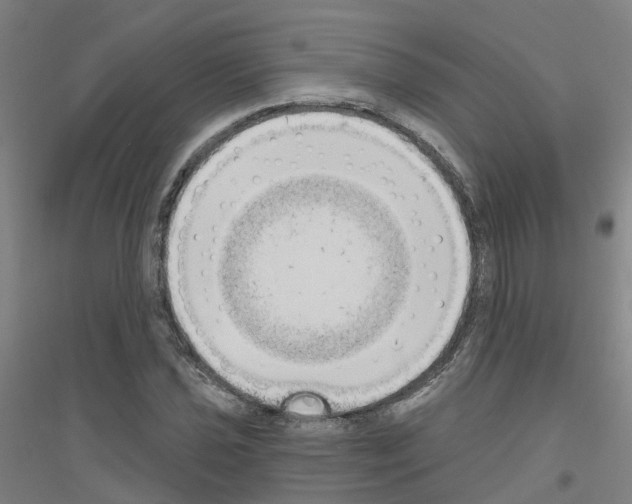 X0000116831021201001291638