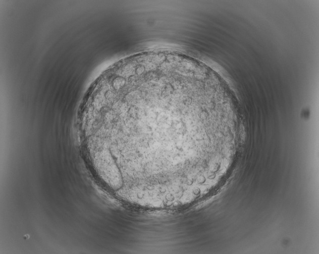 X0000116831022201001291638