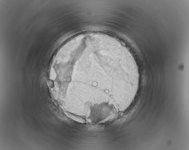 X0000116831025201001291639