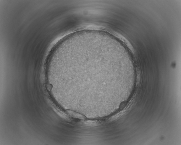 X0000116831027201001291639