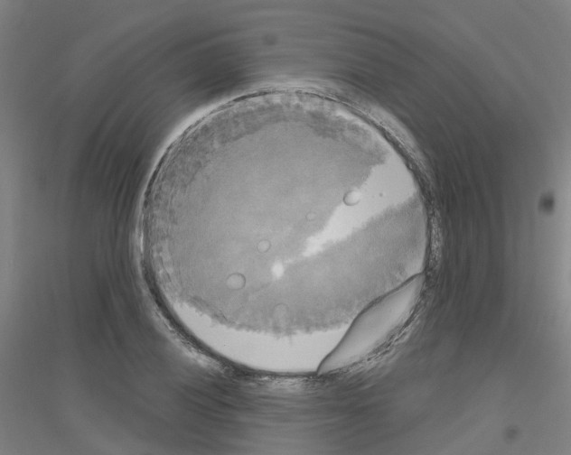 X0000116831028201001291639