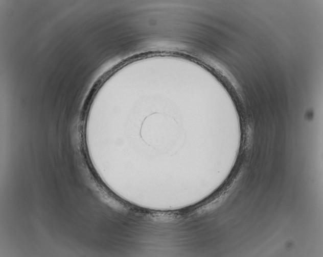 X0000116831029201001291639