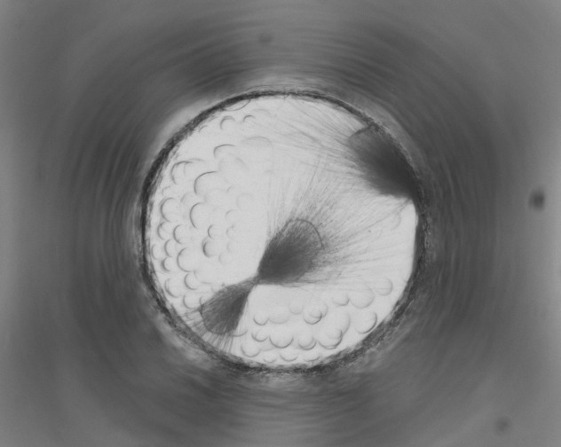 X0000116831030201001291639