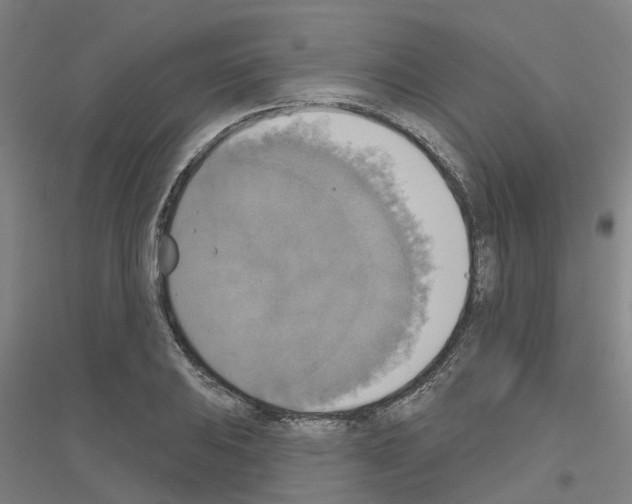 X0000116831031201001291639