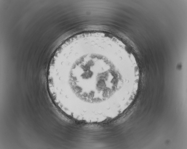 X0000116831033201001291639