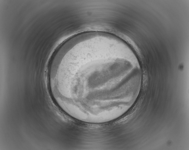 X0000116831035201001291639