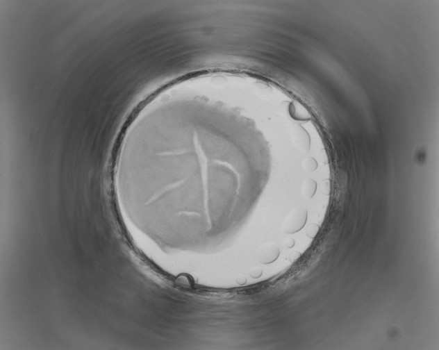 X0000116831037201001291639