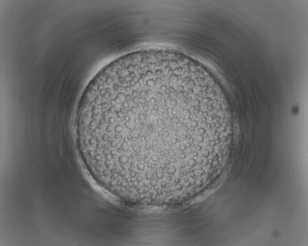 X0000116831038201001291639