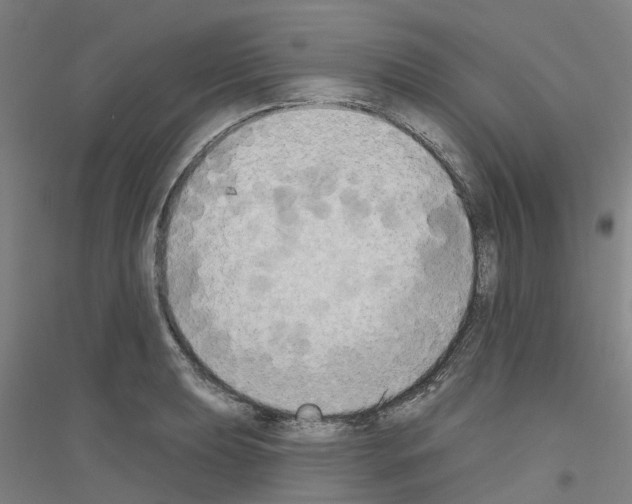 X0000116831039201001291639