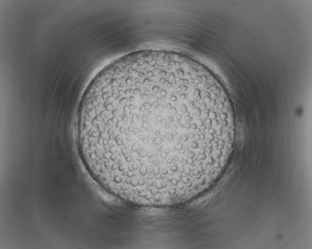 X0000116831040201001291639