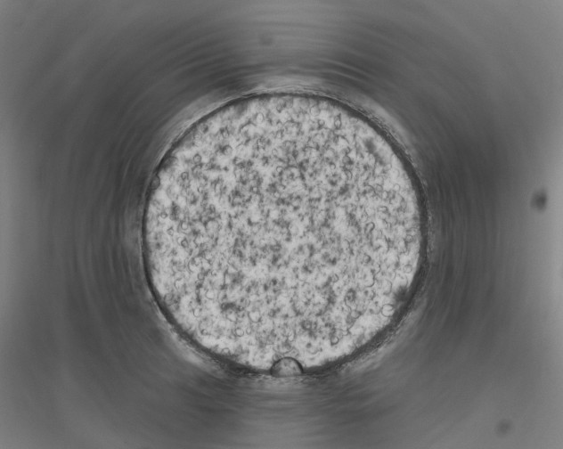 X0000116831041201001291639