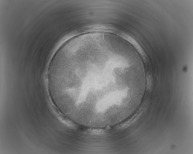 X0000116831043201001291639