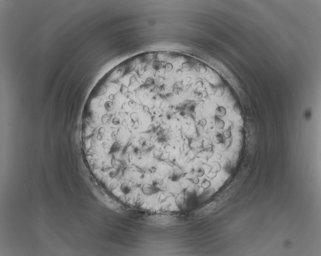 X0000116831044201001291639