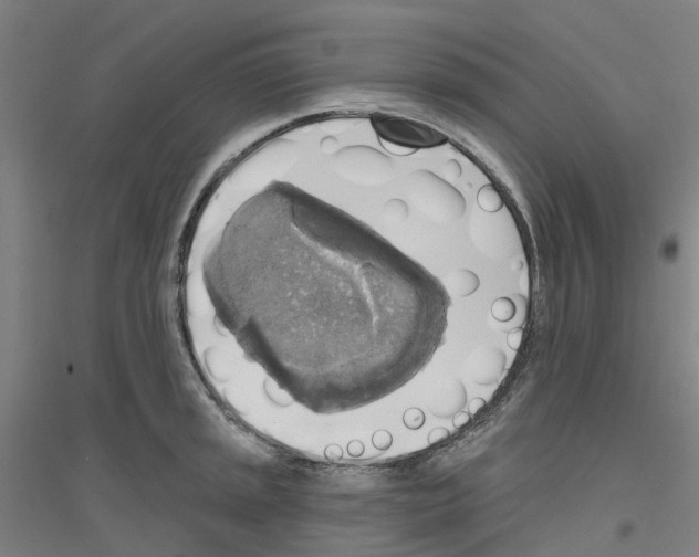 X0000116831045201001291639