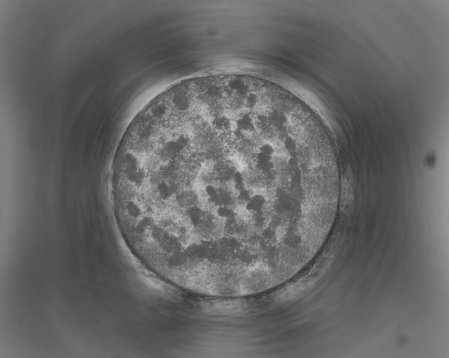 X0000116831047201001291639