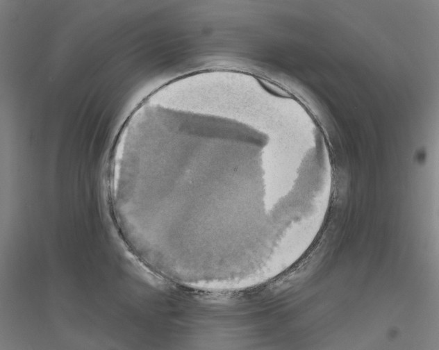 X0000116831048201001291639