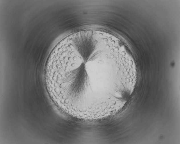 X0000116831050201001291639