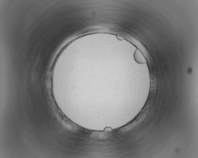 X0000116831051201001291639