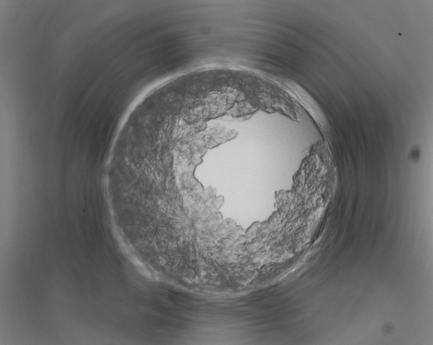 X0000116831052201001291639