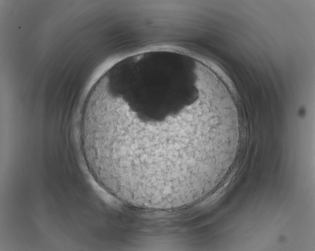 X0000116831054201001291639