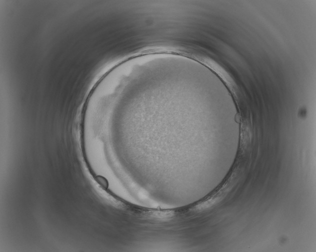 X0000116831055201001291639