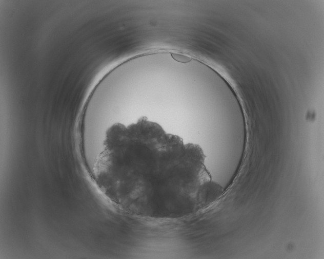 X0000116831056201001291639