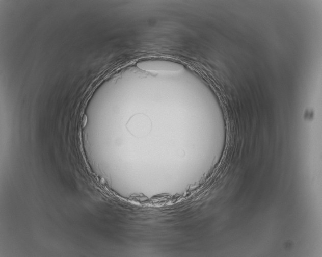 X0000116831057201001291638