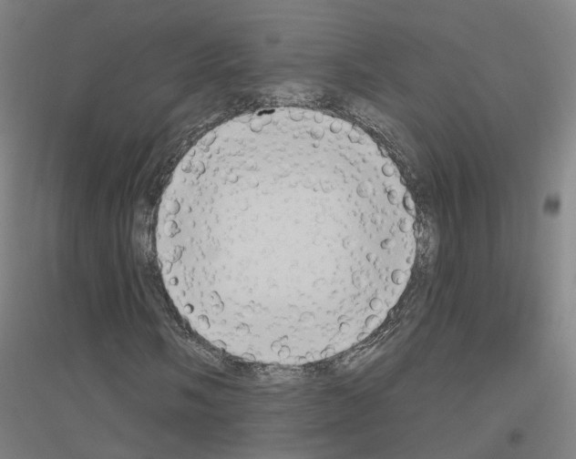 X0000116831058201001291638