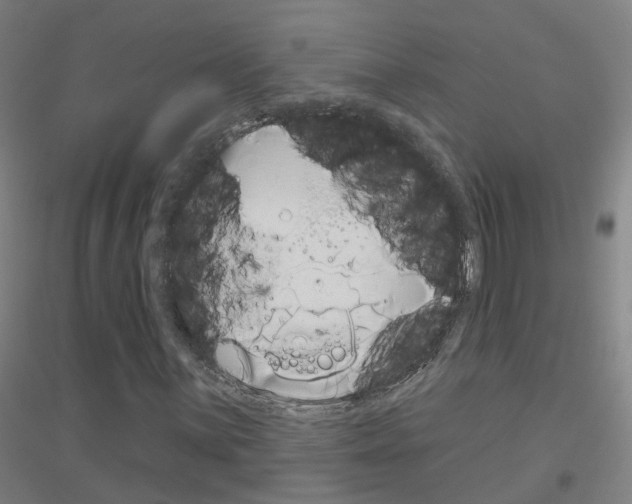 X0000116831059201001291638