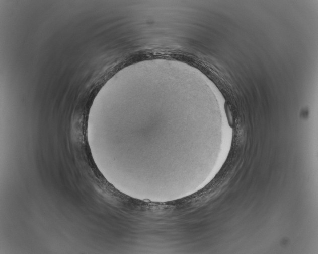 X0000116831060201001291638