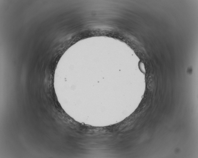 X0000116831061201001291638