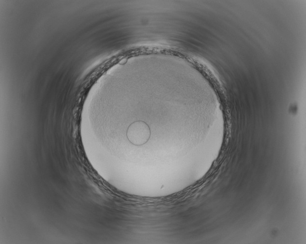 X0000116831064201001291638