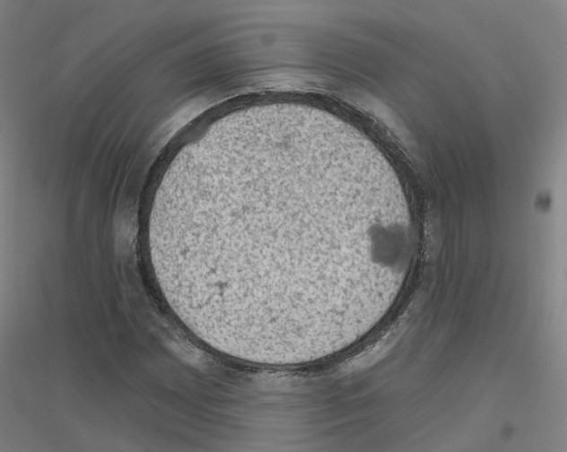 X0000116831065201001291638