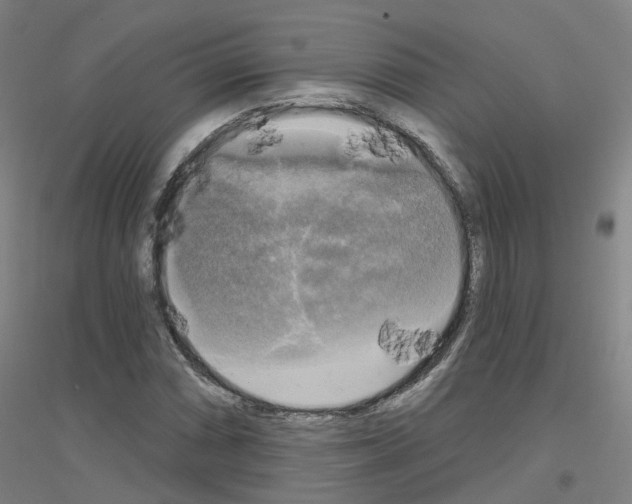 X0000116831066201001291638