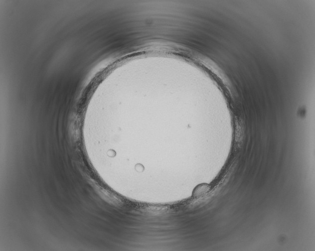 X0000116831067201001291638